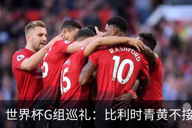 世界杯G组巡礼：比利时青黄不接 伊朗赴美参赛风波不断